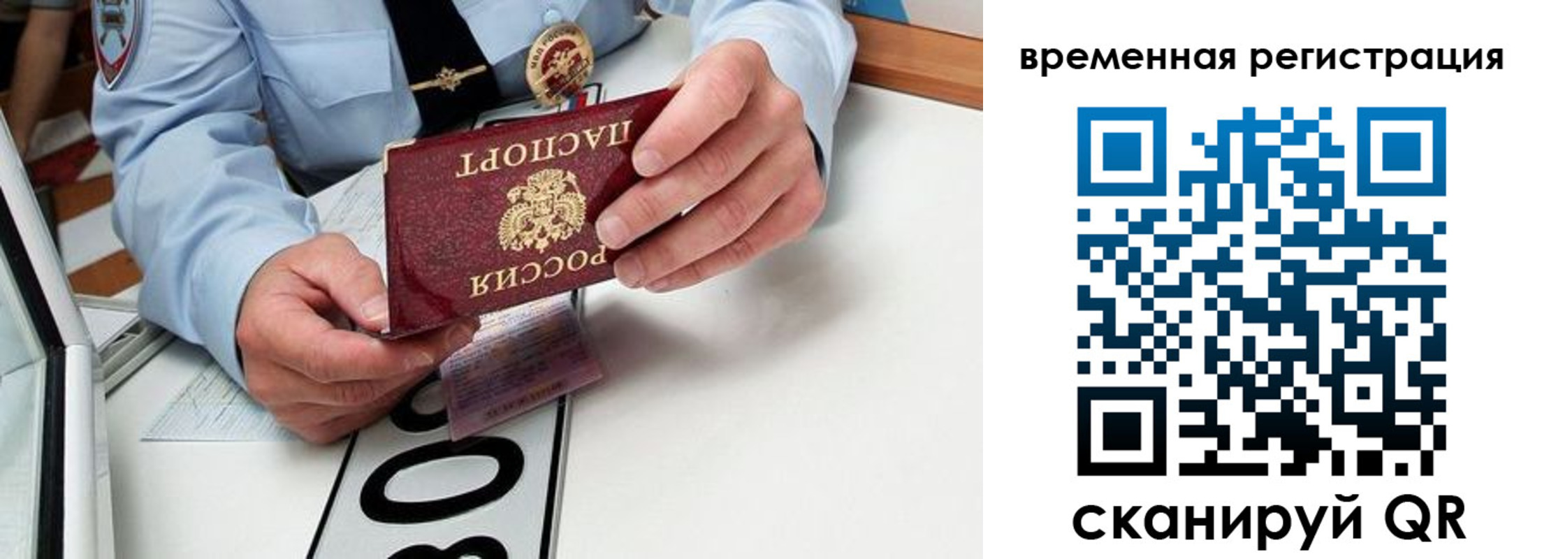 прописка гарантия в Сольцах